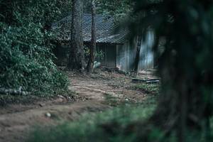 BIB: 
                            <button type="button" onclick="openModal(25277615)" class="btn btn-primary btn-sm float-right btn-popup" data-toggle="modal" data-target=".modal-high-quality">
                        <i class="fas fa-shopping-cart"></i> Add to Cart
                    </button>
                                            <button type="button" onclick="isThisMe(25277615, true)" class="btn btn-success btn-sm float-right btn-popup btn-isme hidden" data-toggle="tooltip" data-placement="bottom" title="นี่คือรูปของคุณใช่ไหม คลิกที่นี่เพื่อเอาเข้าอัลบั้ม">
                        <i class="fas fa-plus"></i> Add to album
                    </button>
                    <button type="button" onclick="isThisMe(25277615, false)" class="btn btn-warning btn-sm float-right btn-popup btn-isnotme hidden">
                        <i class="fas fa-ban"></i> Remove from album
                    </button>